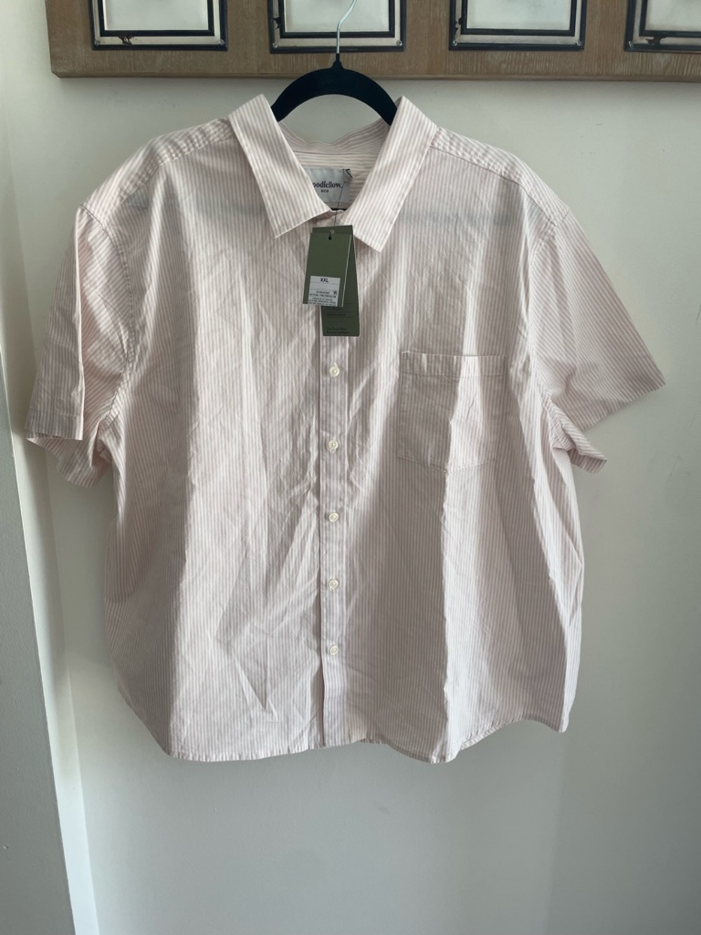 Goodfellow & Co Light Pink Striped Short Sleeve Button-Up Shirt
